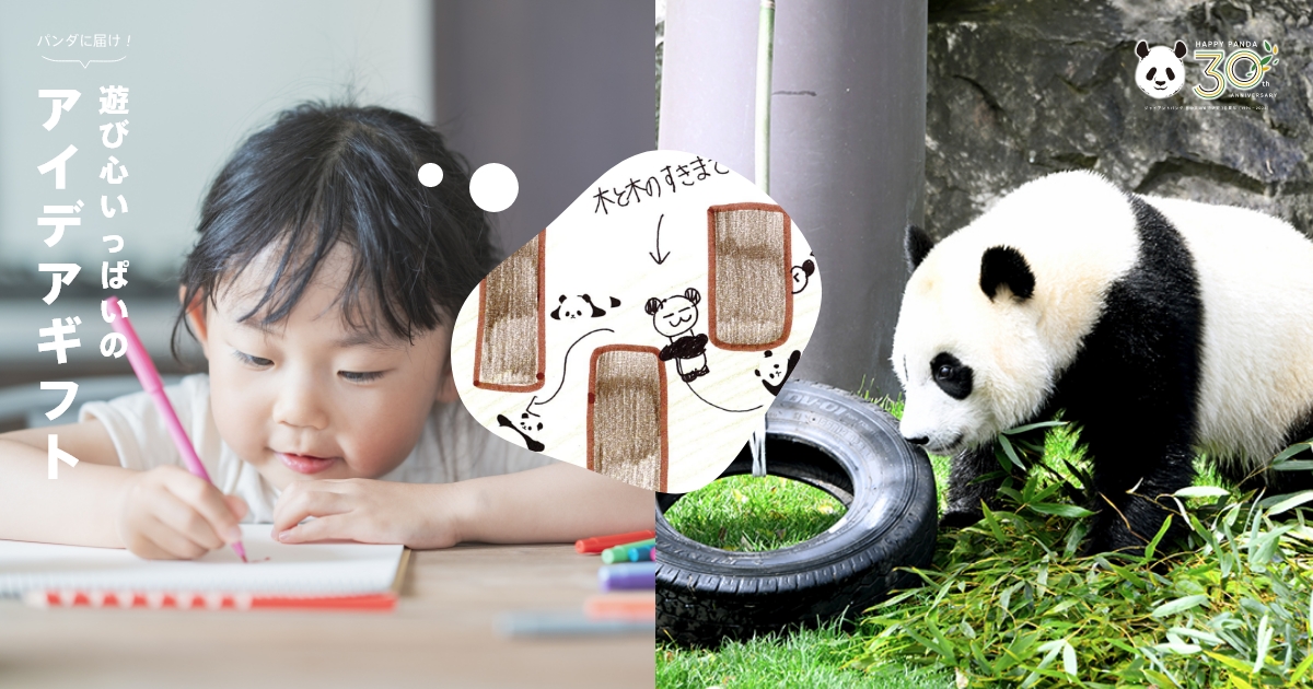 「Panda Room」のアイデア 30 件 – パンダミュージアム – UJFWEJ